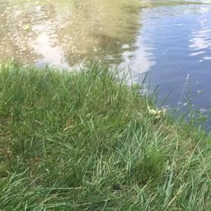 Meet your Posher, Joshua